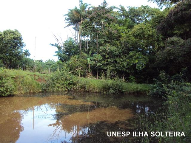 aula_25_marco_2013 (21).JPG